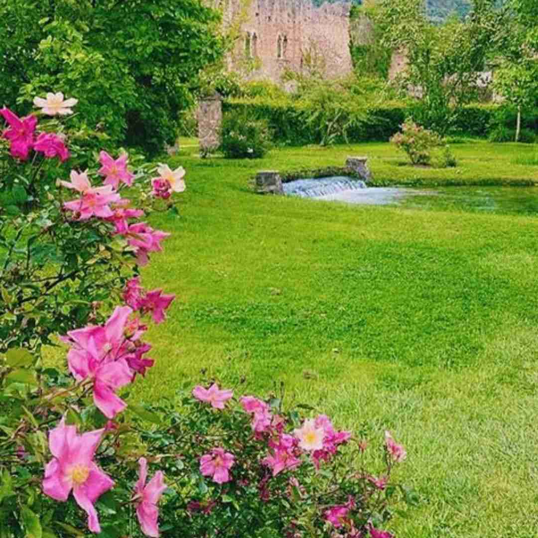  بی بی شکسته دل من نه شاهم نه وزیر با صدای بهرام افشاری - فیلم فسیل