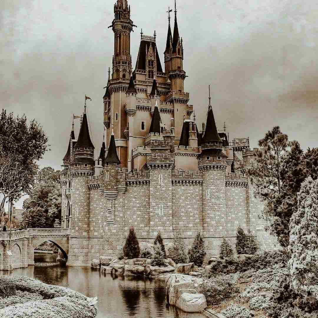  فک کن دعوتت کنه اون شب عروسیش