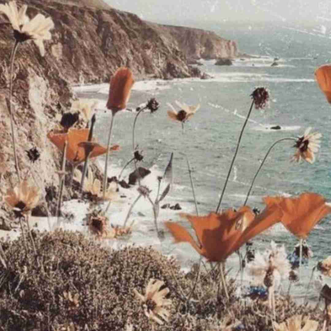 هم طبیب ای دل بیماری گذشت از اون روزا