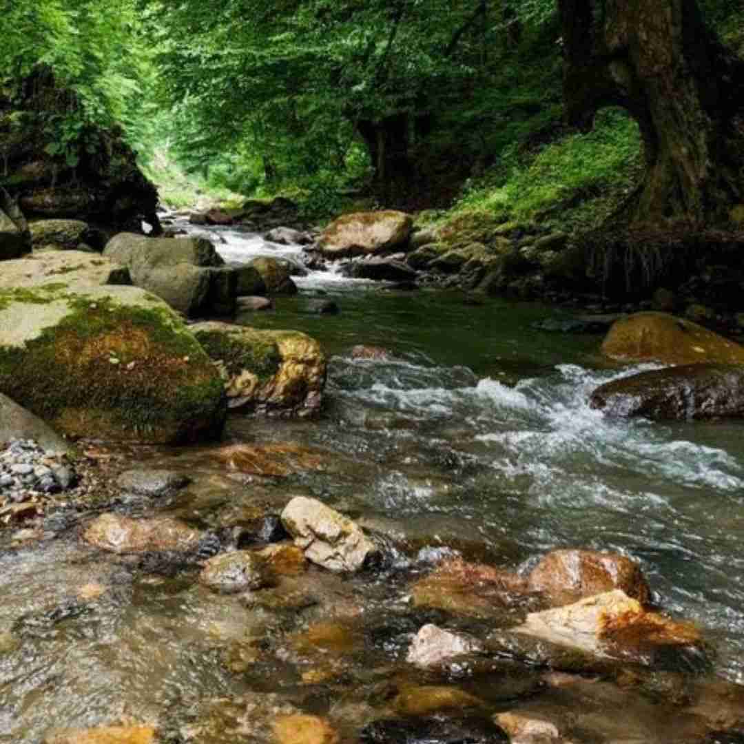 سنا برزنجه هو عزیزم هو دلکم