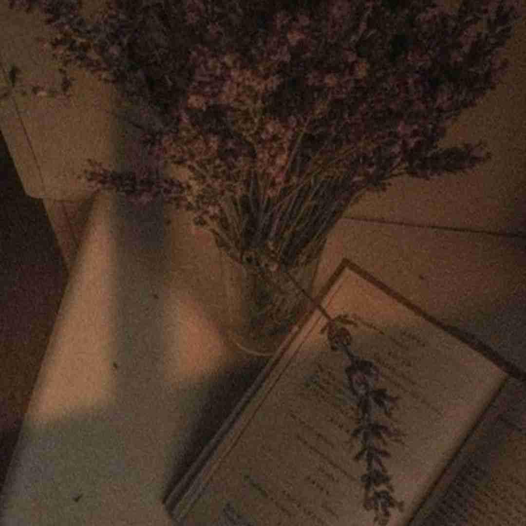  گرمه دمت نمیشه گذاشت سر به سرت