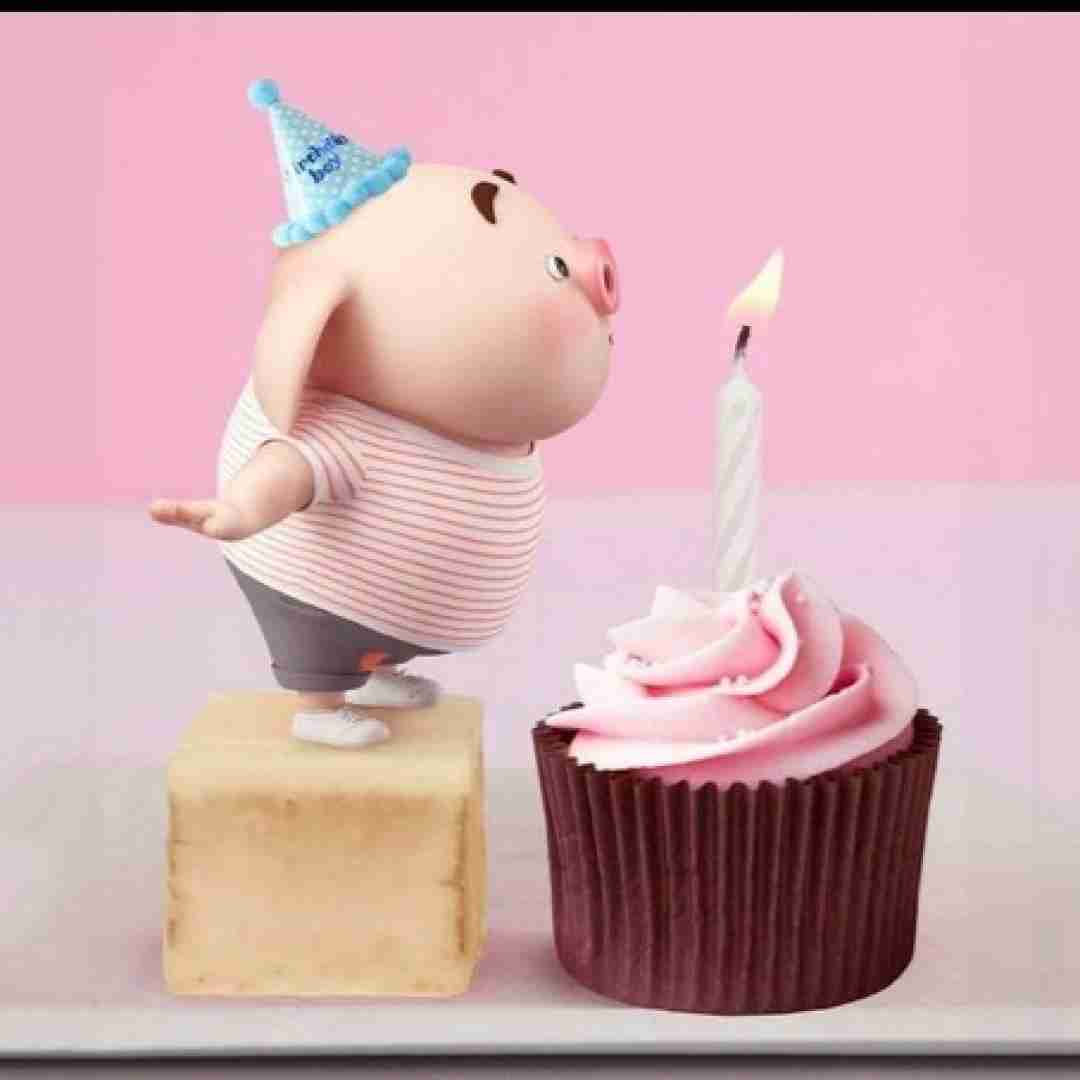 میریم تو پارتی اکیپی گنگ هپی برس دی