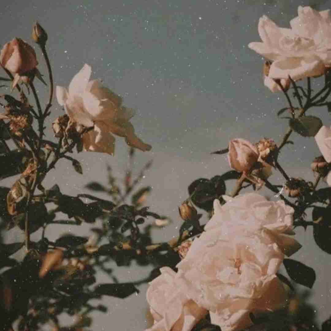  میخونم آخ که دیگه فرنگیس عشق تو هوش مصنوعی