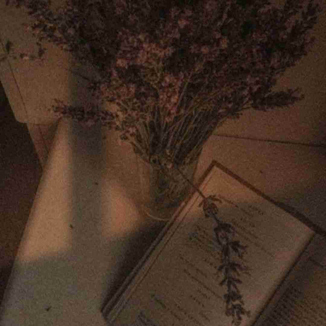 بابا به به به این حال به این سال