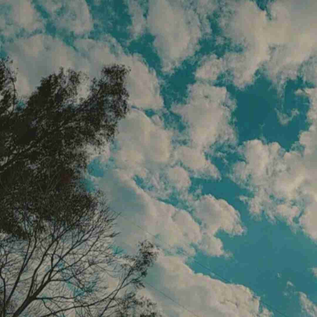  درک نداری ببینی که مه چمه با صدای بچه