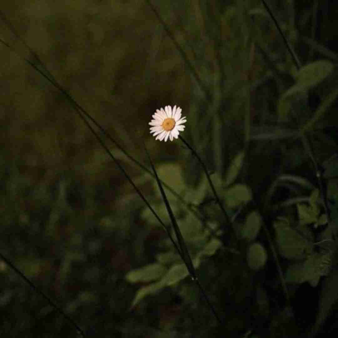 یهو زد به پشتم یه خانم سی سی و دو سال