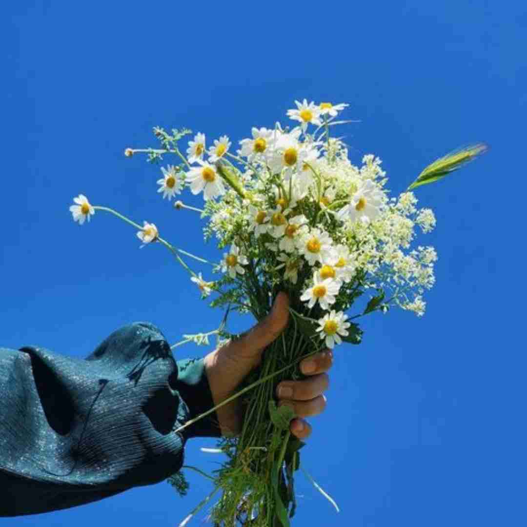   خوش میگذره بله این بشه بشه بندره