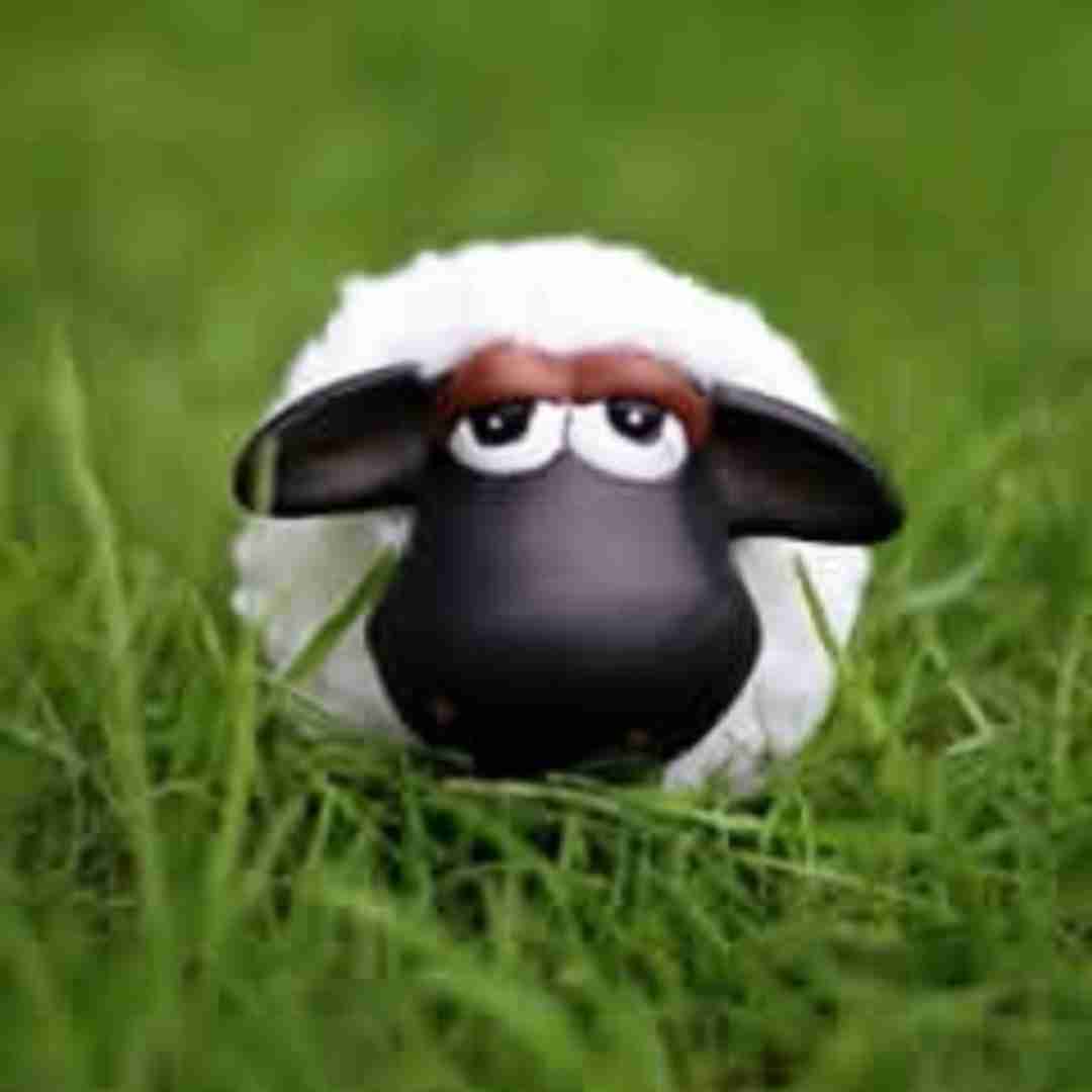 ببعی تو بازیگوشی