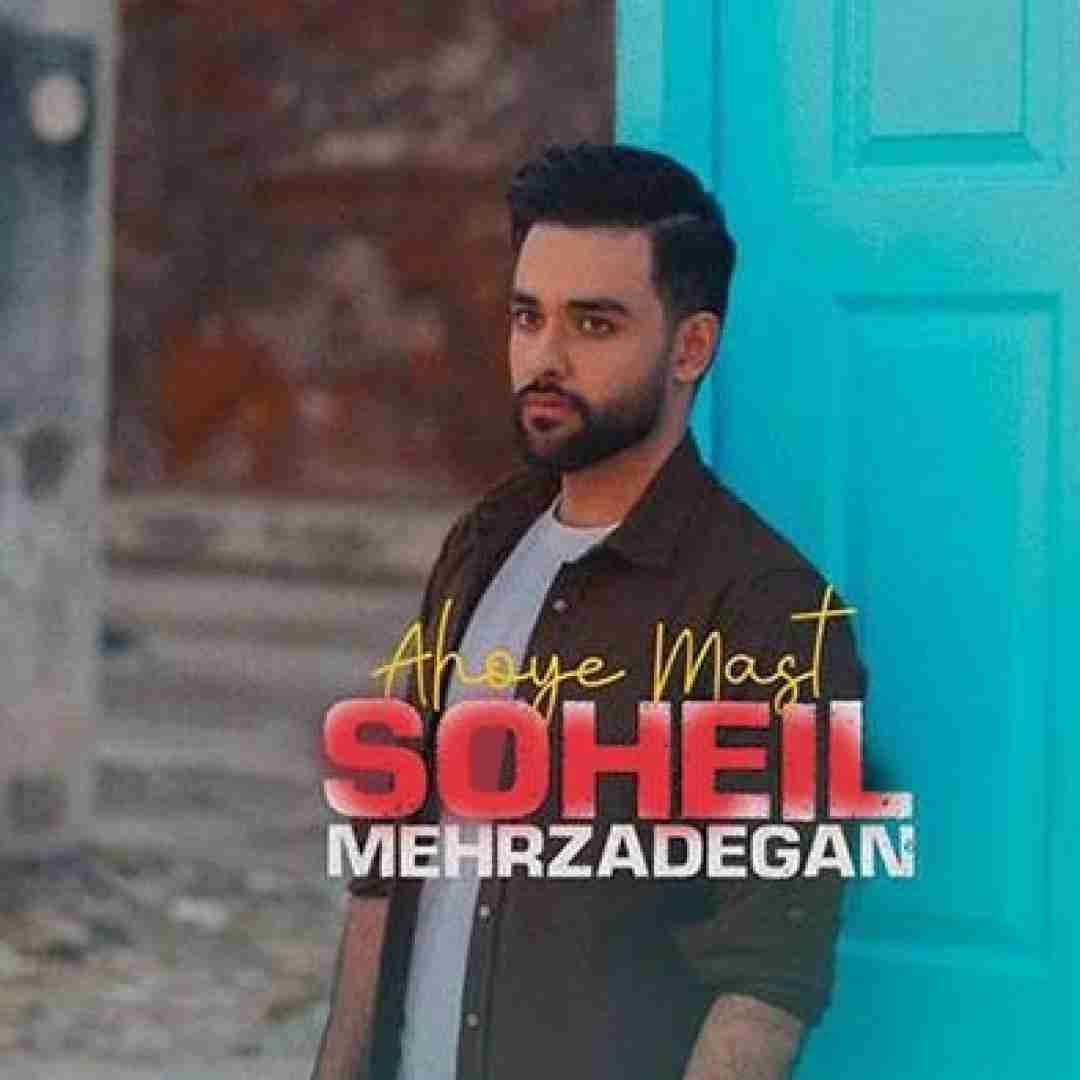سهیل مهرزادگان آهوی مست