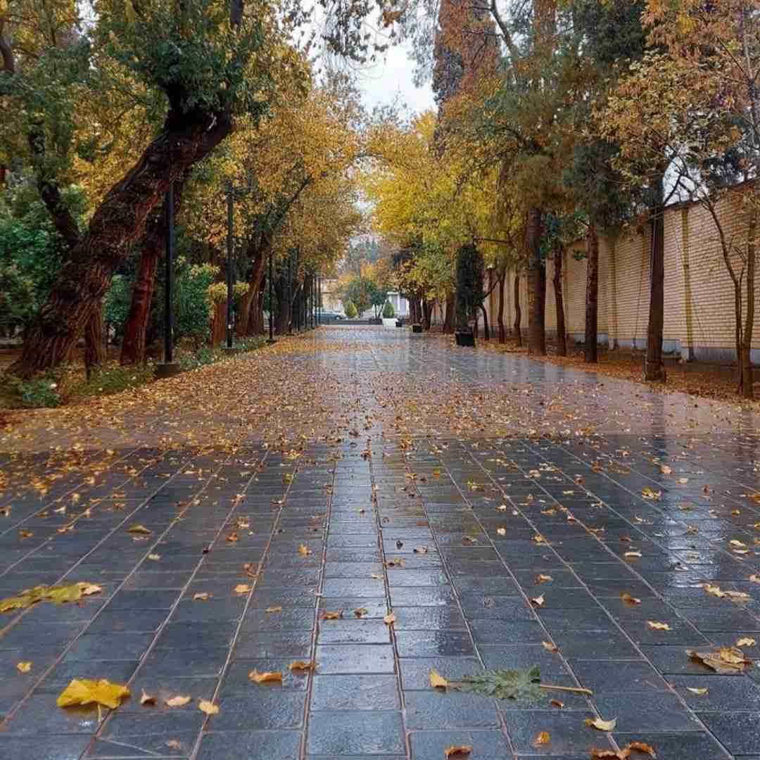  مگه نمیدونی درگیر عاشقی ام بد میکردی حالمو
