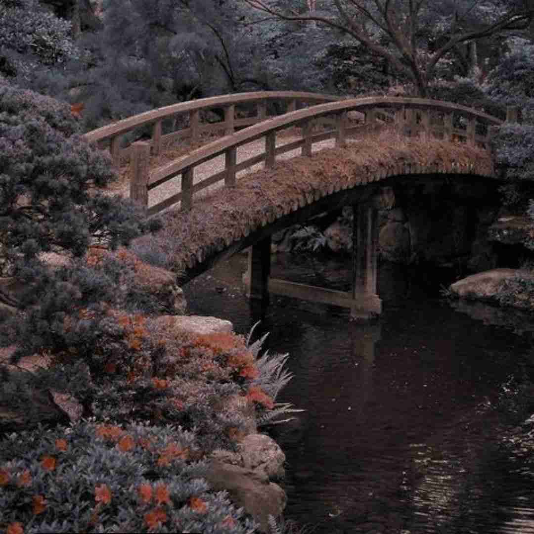 گل به جمال دوماد عروس خانم چه نازه