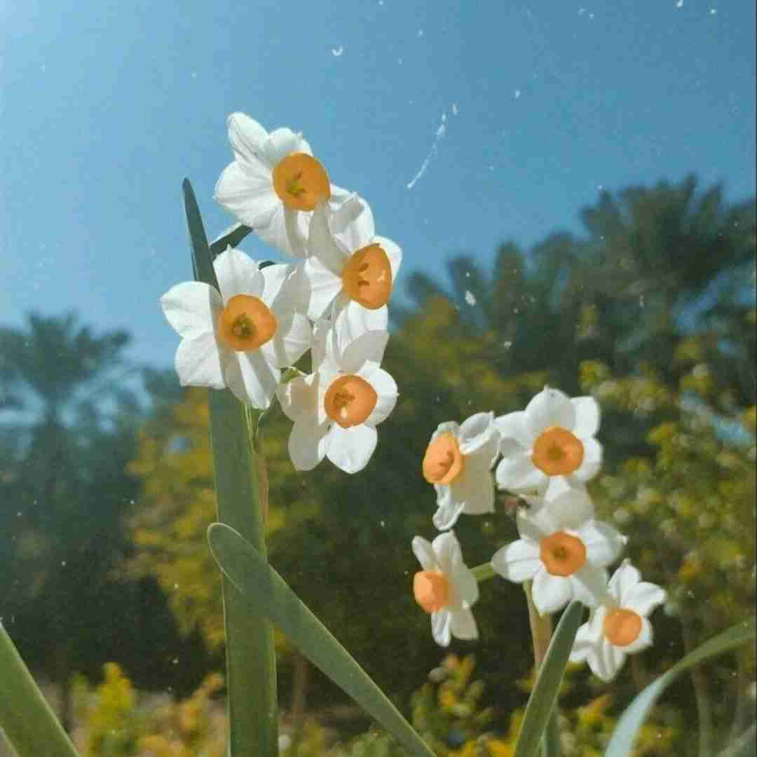  دانلود آهنگ برا چی اوضاع رو پیچیده کنیم