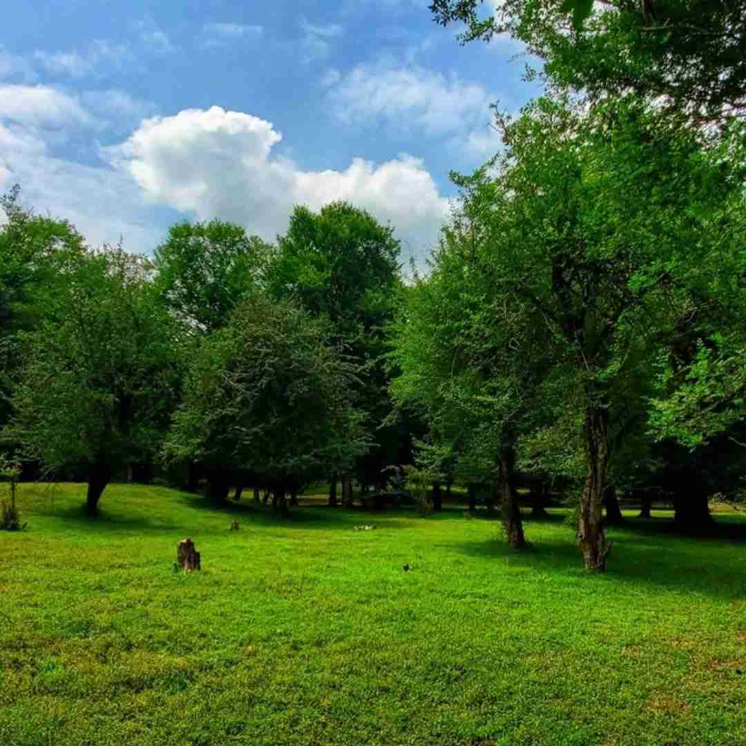  بیا برگردیم اونجا که قهر کردیم