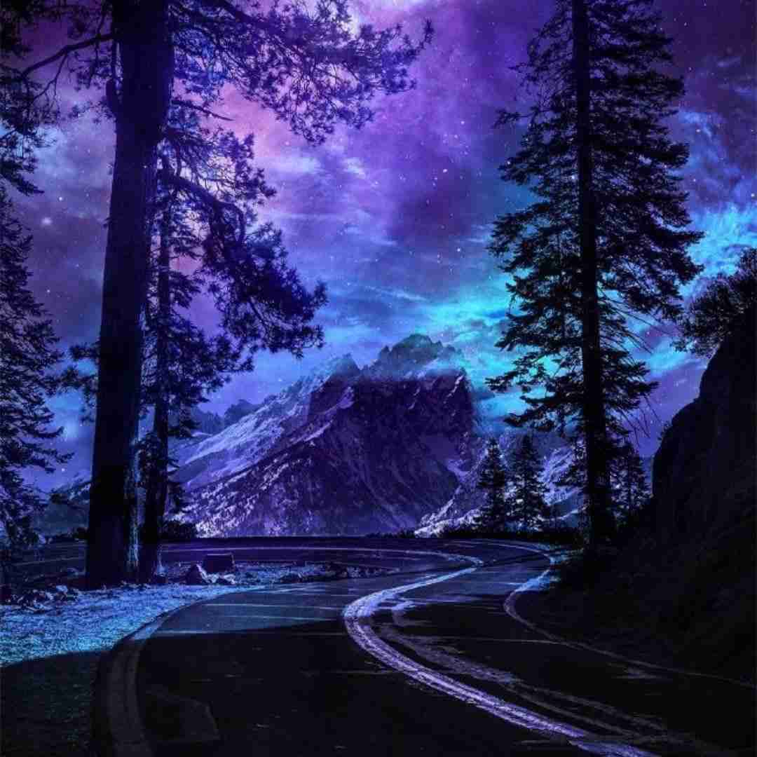  کش میاد دلار دلار دلار