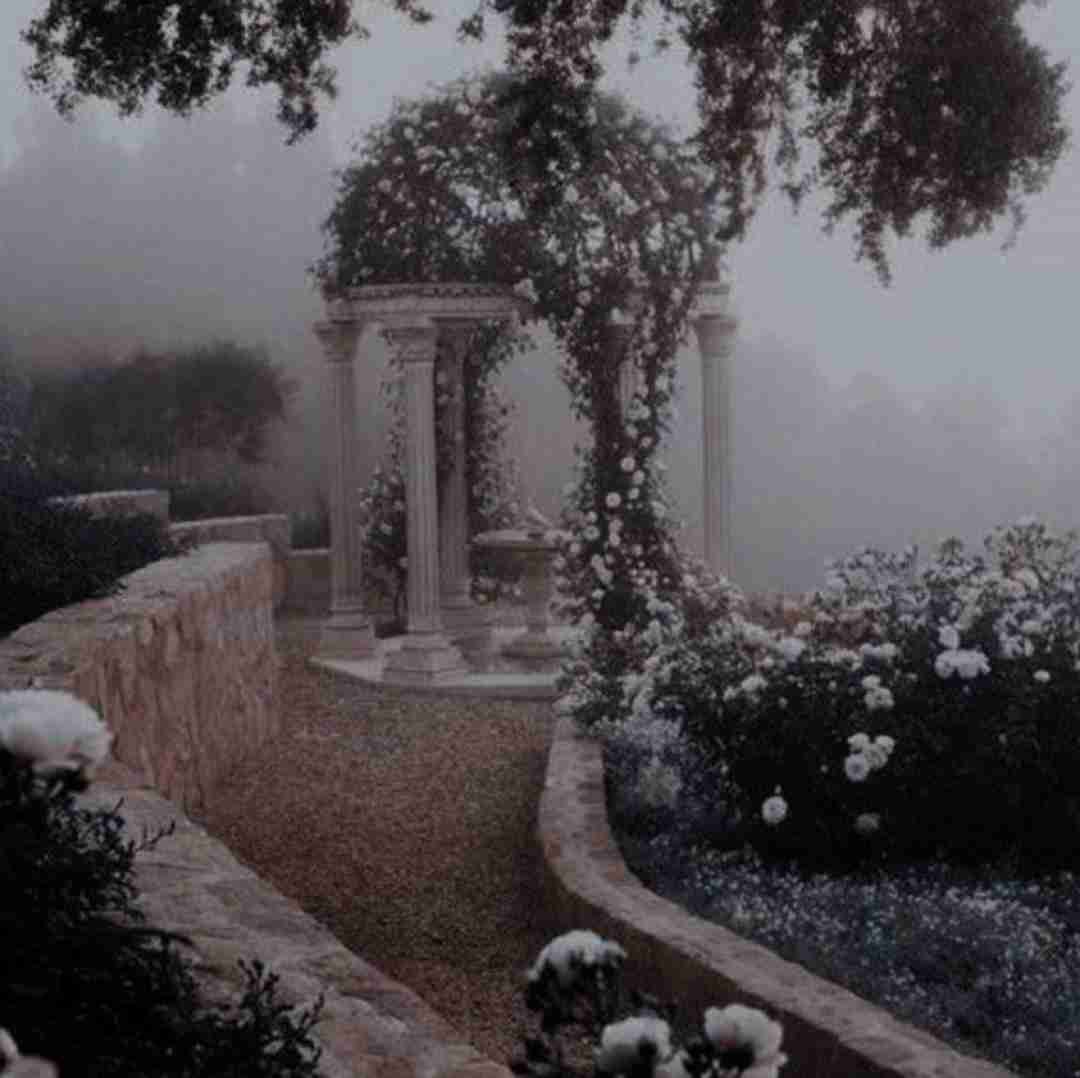 اسمشو رابطه نزار ما بودیم با هم رفیق