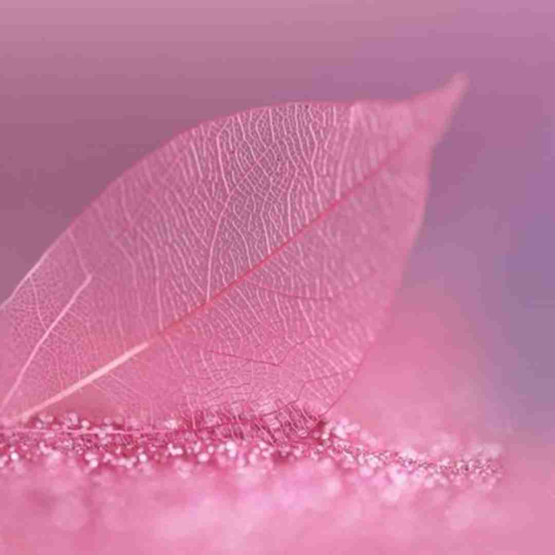 پشت هم میرم تو لاک خودم