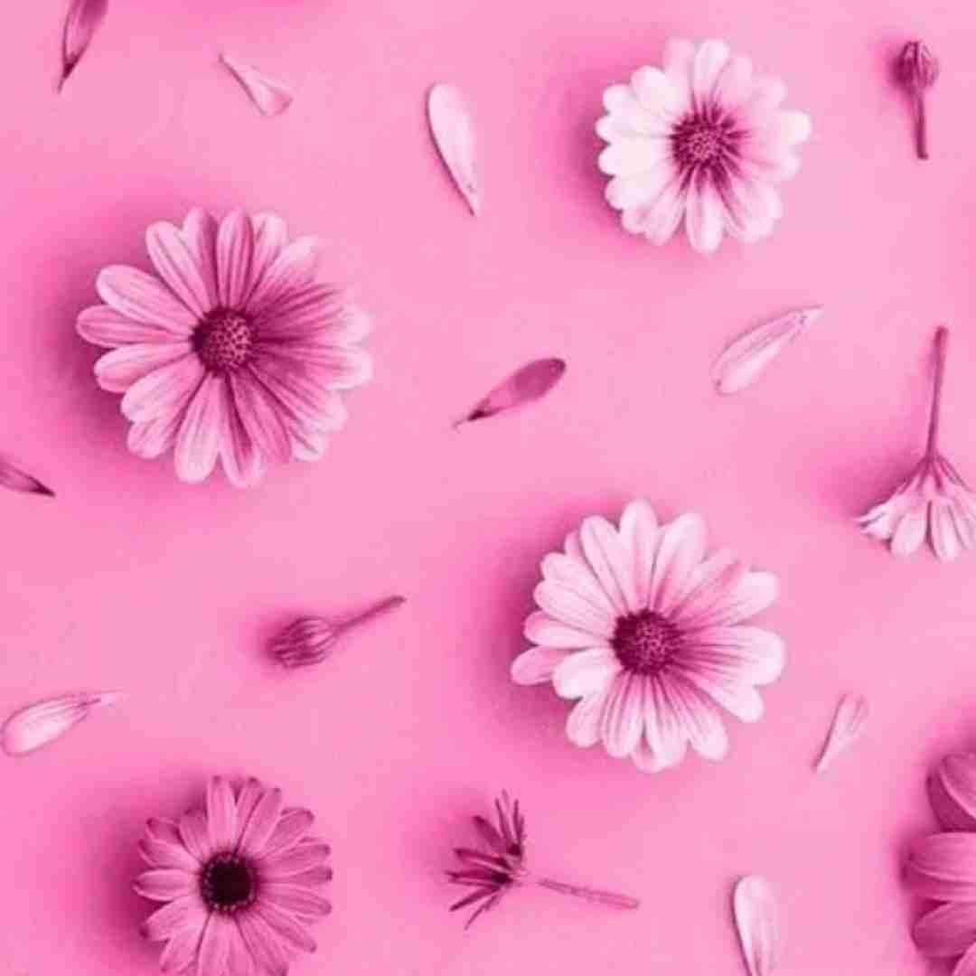  ذوقم وه یه که بیای بشنوم دنگ صدات