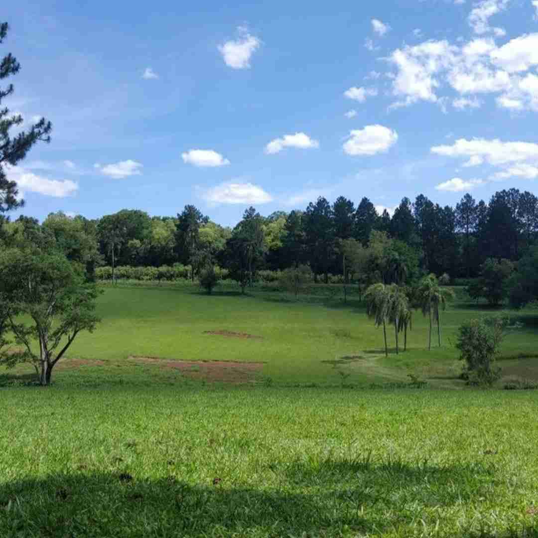  روحم از تو تنم میره بیرون