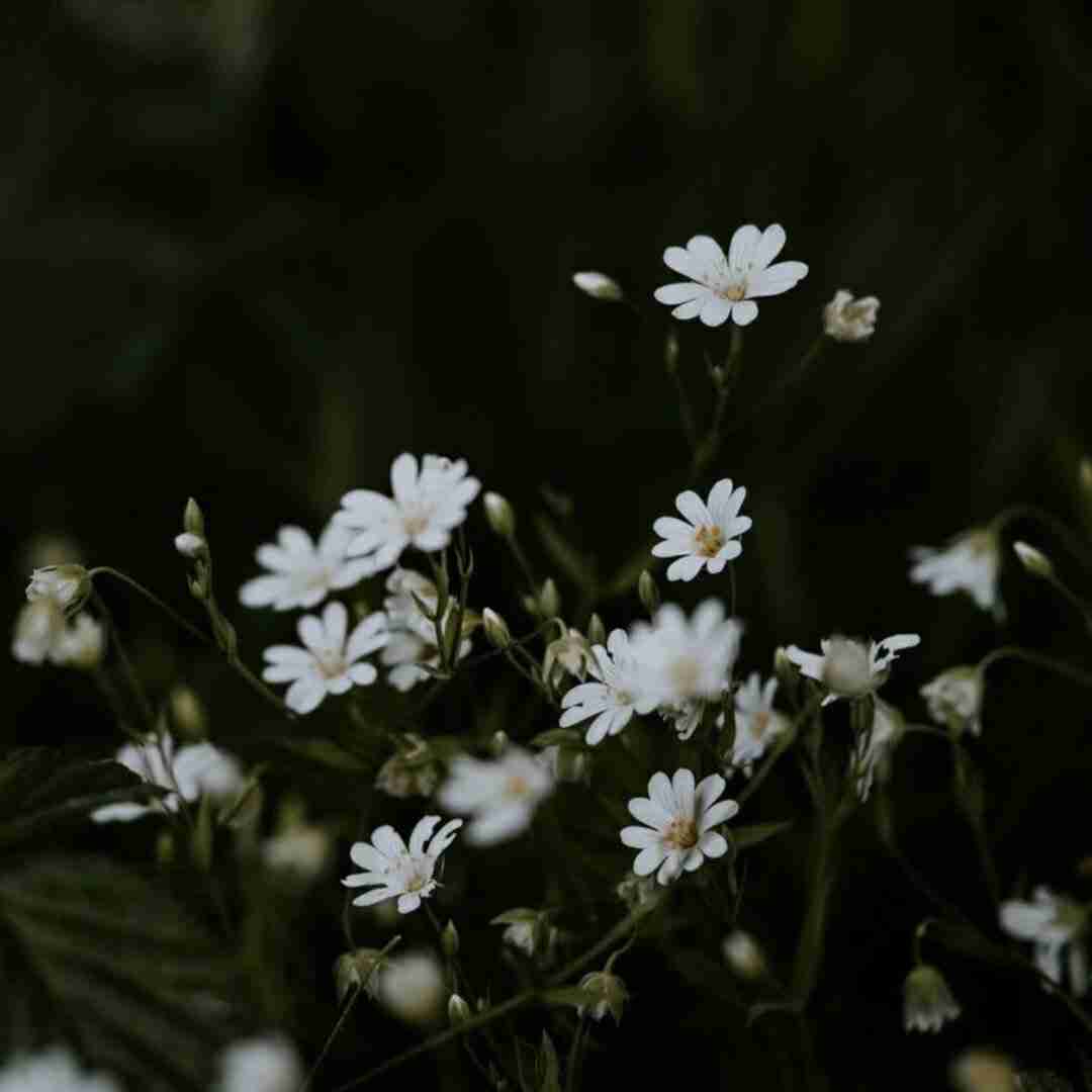  چه کنم چیکار کنم تو منو نشناختی