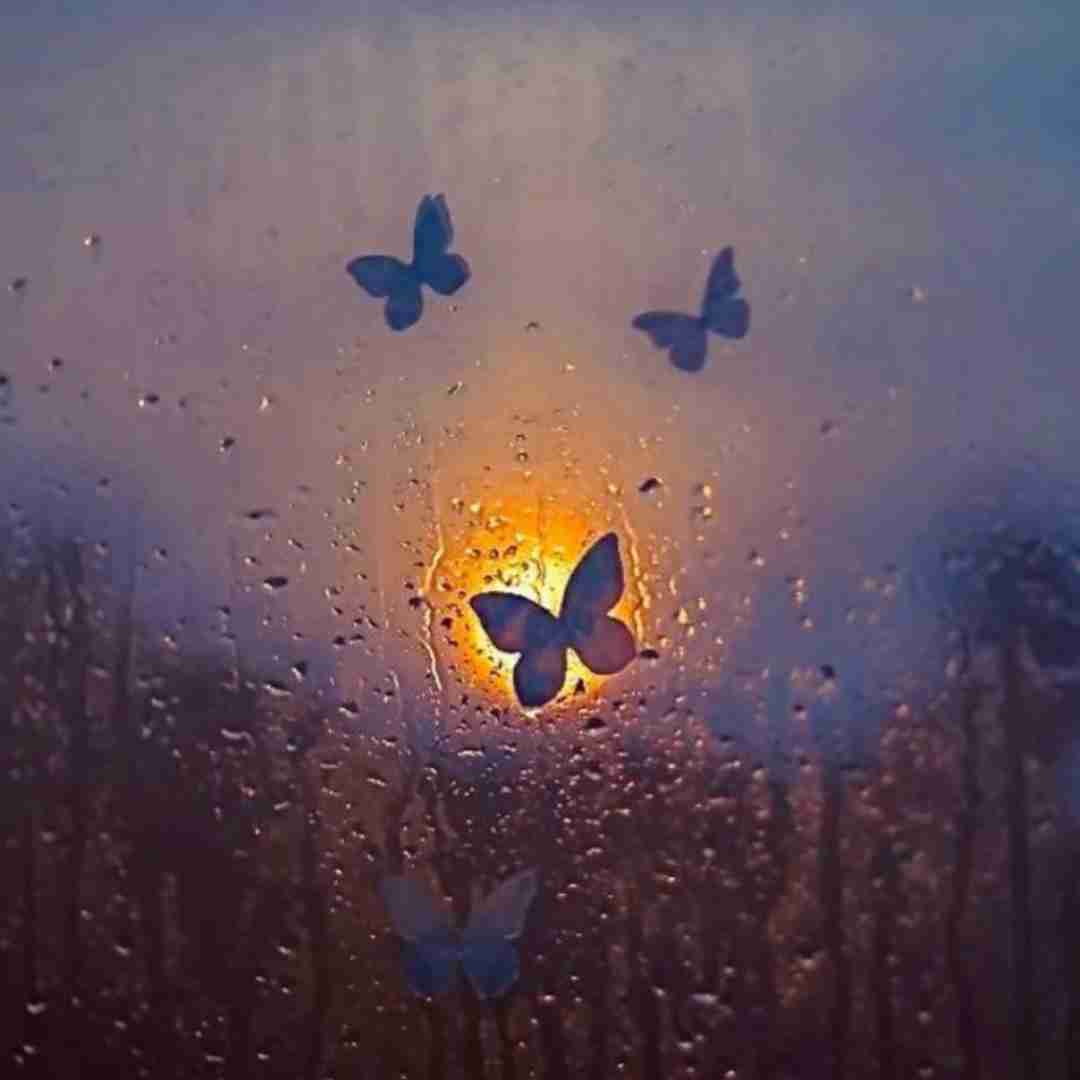  بهم میگفتن دکتر ببین این مغزش پوسیده