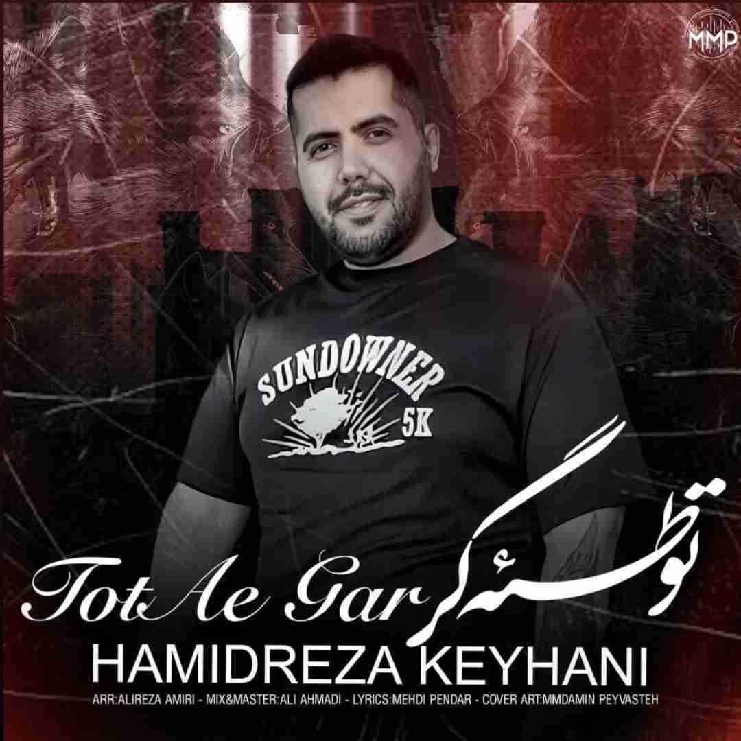 حمیدرضا کیهانی توطئه گر