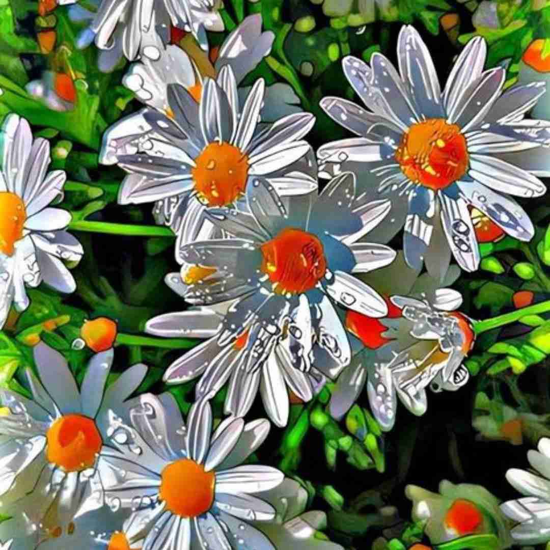  دوست دخترت مثل تلفن میشه همگانی