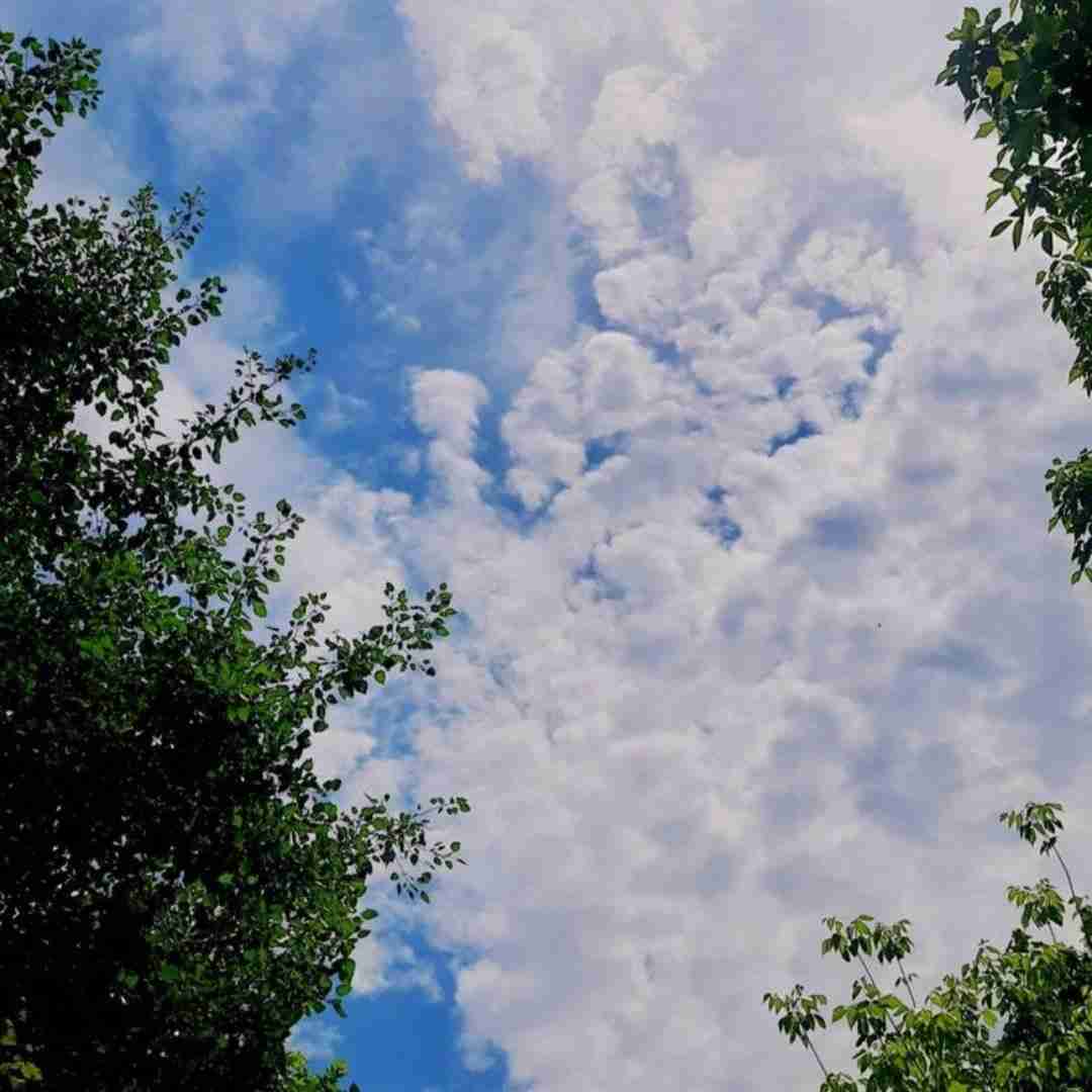 من پریدم بره از یادم چی رو از دست دادم