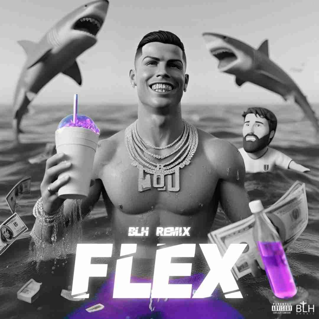 بی ال اچ ریمیکس Flex