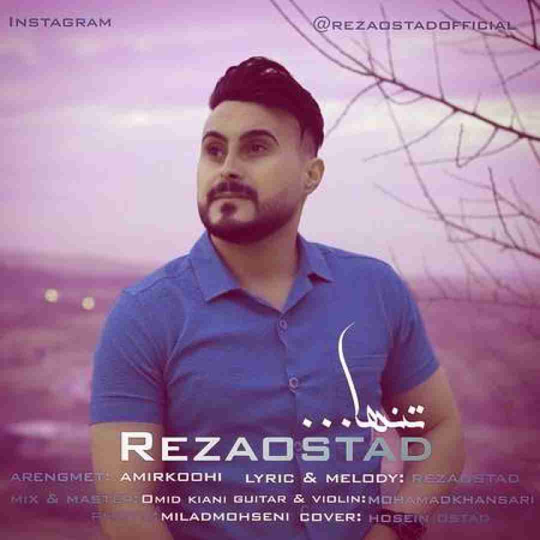 رضا استاد تنها