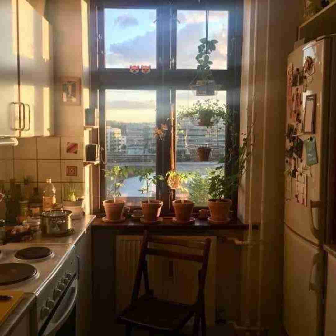 دلی که رو هوا زدی دادی دست باد ببره با صدای زن