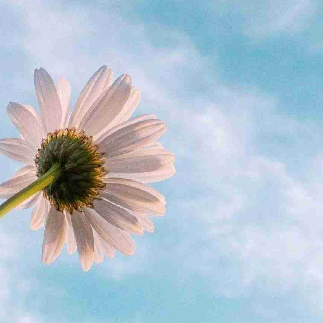  هه میدونی شوخی کردم من دوست دارم حتی اگه دوریم از هم