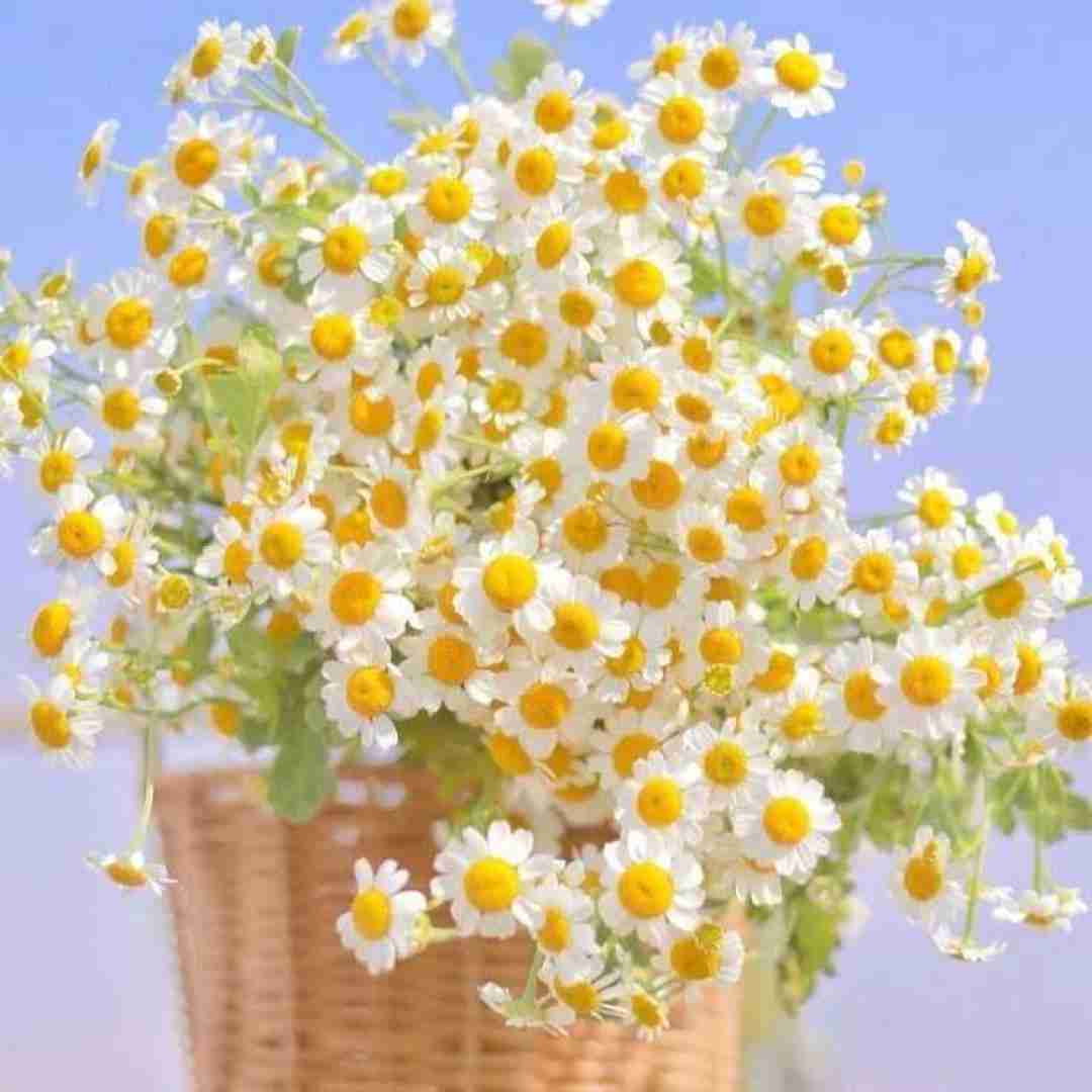  جا خالیت با هیشکی پر نمیشه چطوری از غریبه ها غریبه تر