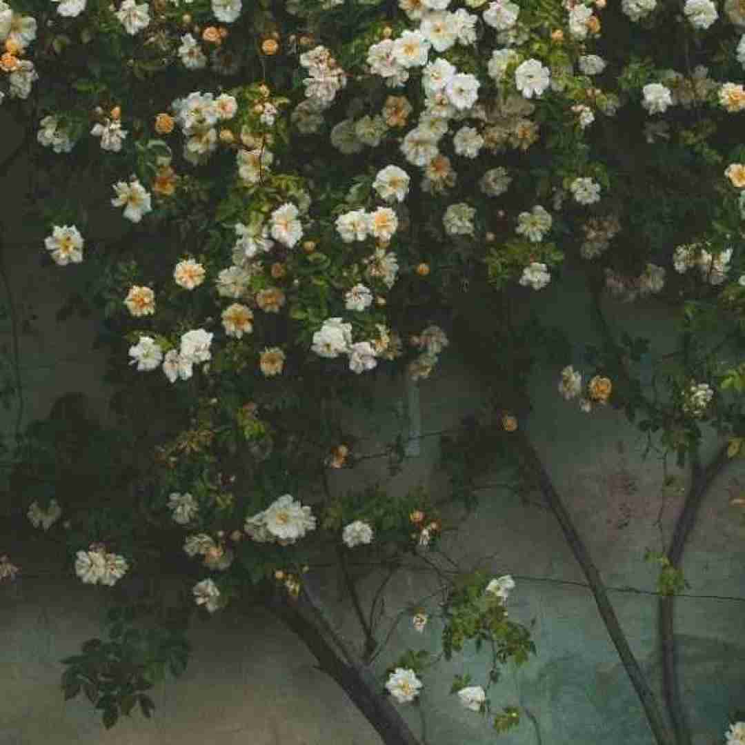 همه توی خواب ناز و منم به فکر چشمای با صدای زن