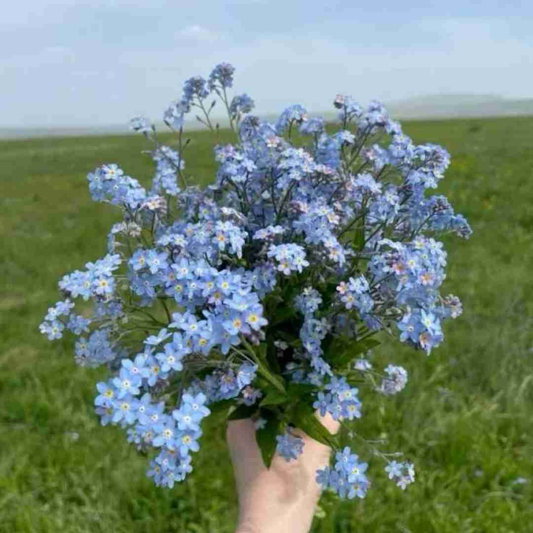 کجایی بگو الان تنها کسی که داشتم بشم اطمینان