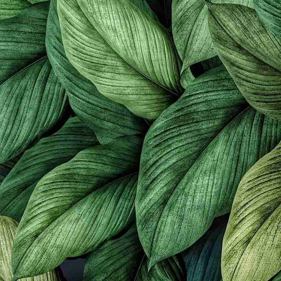 هه میدونی شوخی کردم من دوست دارم حتی اگه دوریم از هم