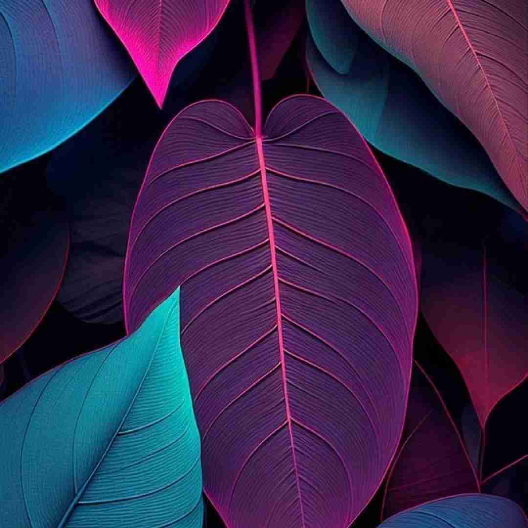  نه تو دووم میاری نه من بی تو بذار کنار غرور لعنتی تو