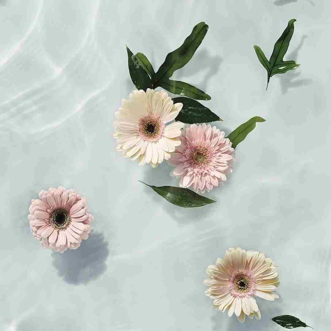 فاطمه رحمانی بسوته دل