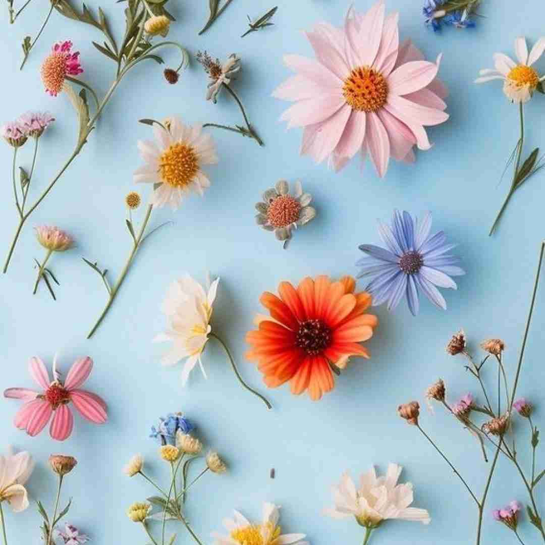  فک میکردم عاشق بود ولی پیچوند و اعتمادمو شکوند