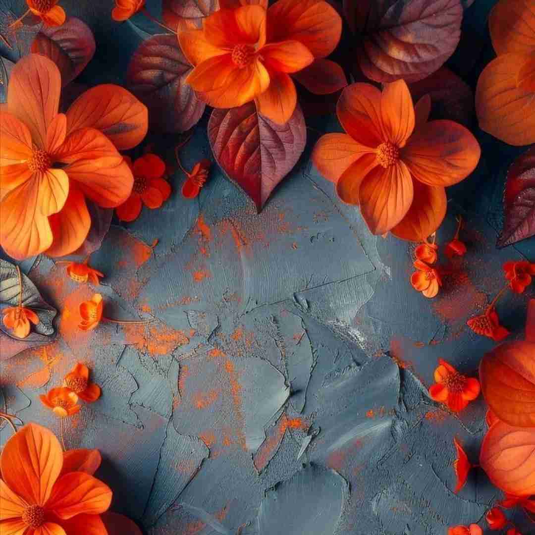 نازه نازه ولک نمک میریزه ولک