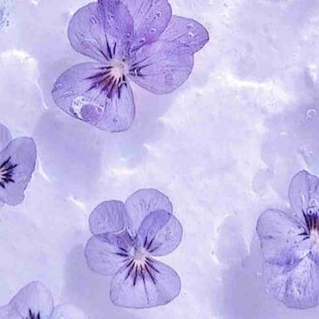 گمت کردم روی مبل 9 صبح چقد حرف با صدای دختر