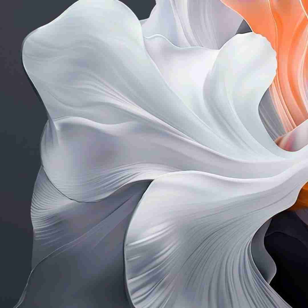 نه نای موندن هست نه پای رفتن نه چیزی دیگه (ترند اینستایی)