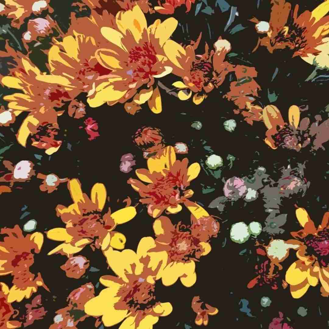 فاطمه عطایی زمستون وارش