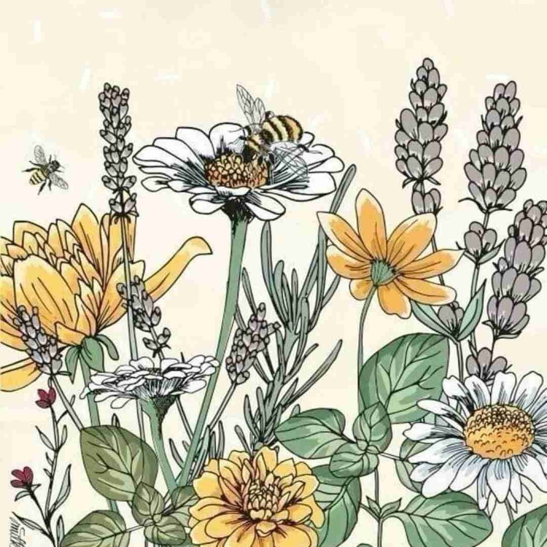 فاطمه عطایی سر کوه