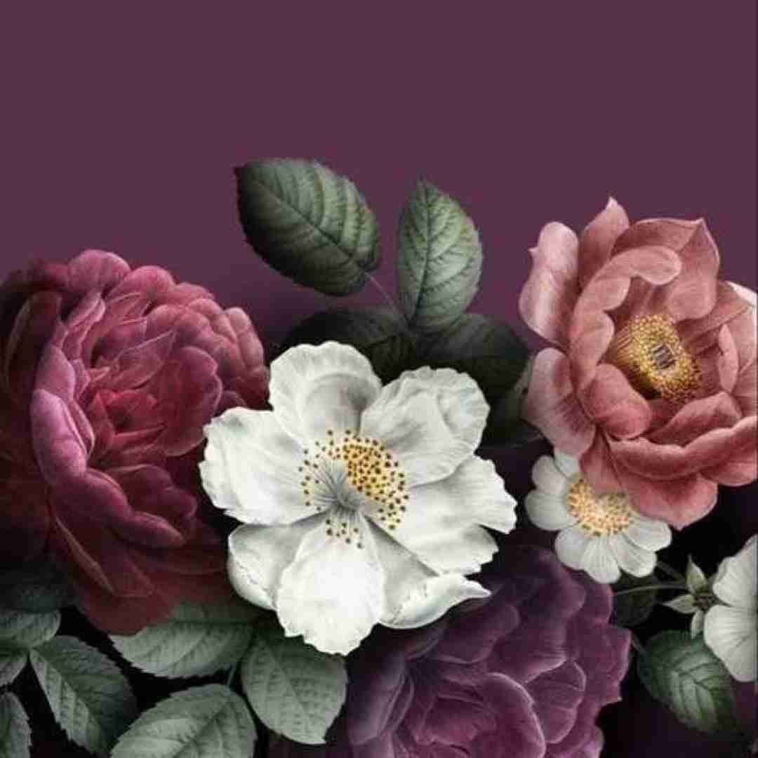  وان تو تری فور فایو با صدای پسر (چالش ترند اینستایی)