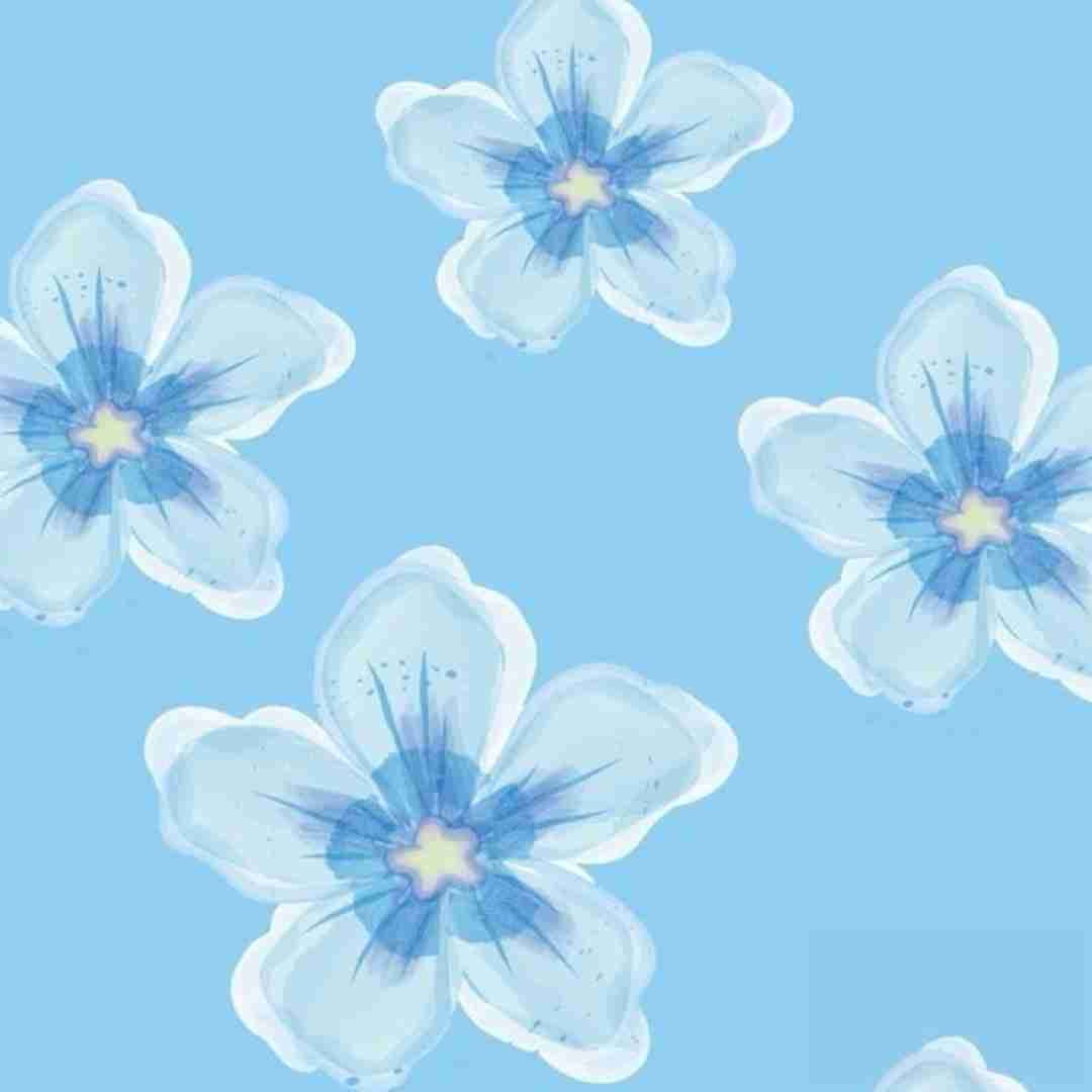 نردبونارو جمع کنید من خودم بالا برم (ترند اینستایی)