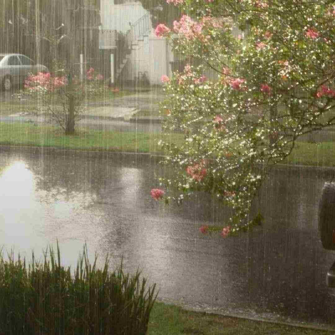  خون توی رگ های منی تو جای چشمای منی - هوش مصنوعی