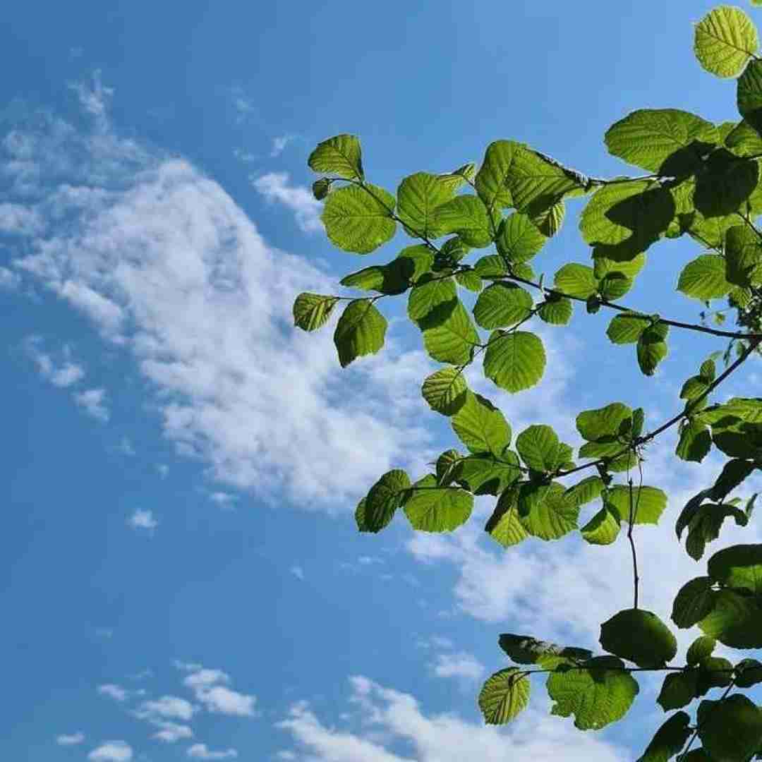  چشمام و میبندم به دنیا میخندم دشمنا با صدای پسر اینستایی