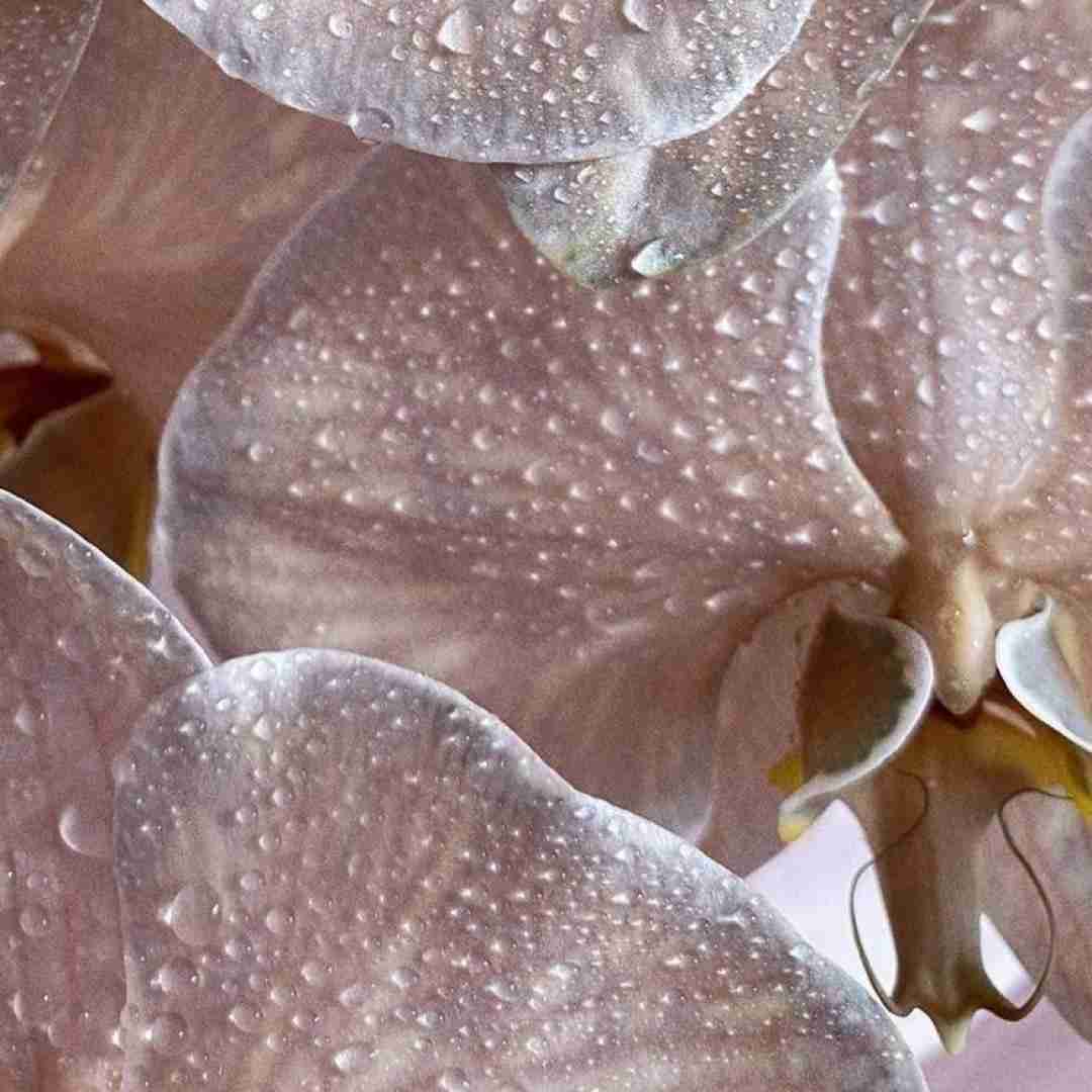 تو فک کن پول باباس گور بابات دافت یجوری میگیره