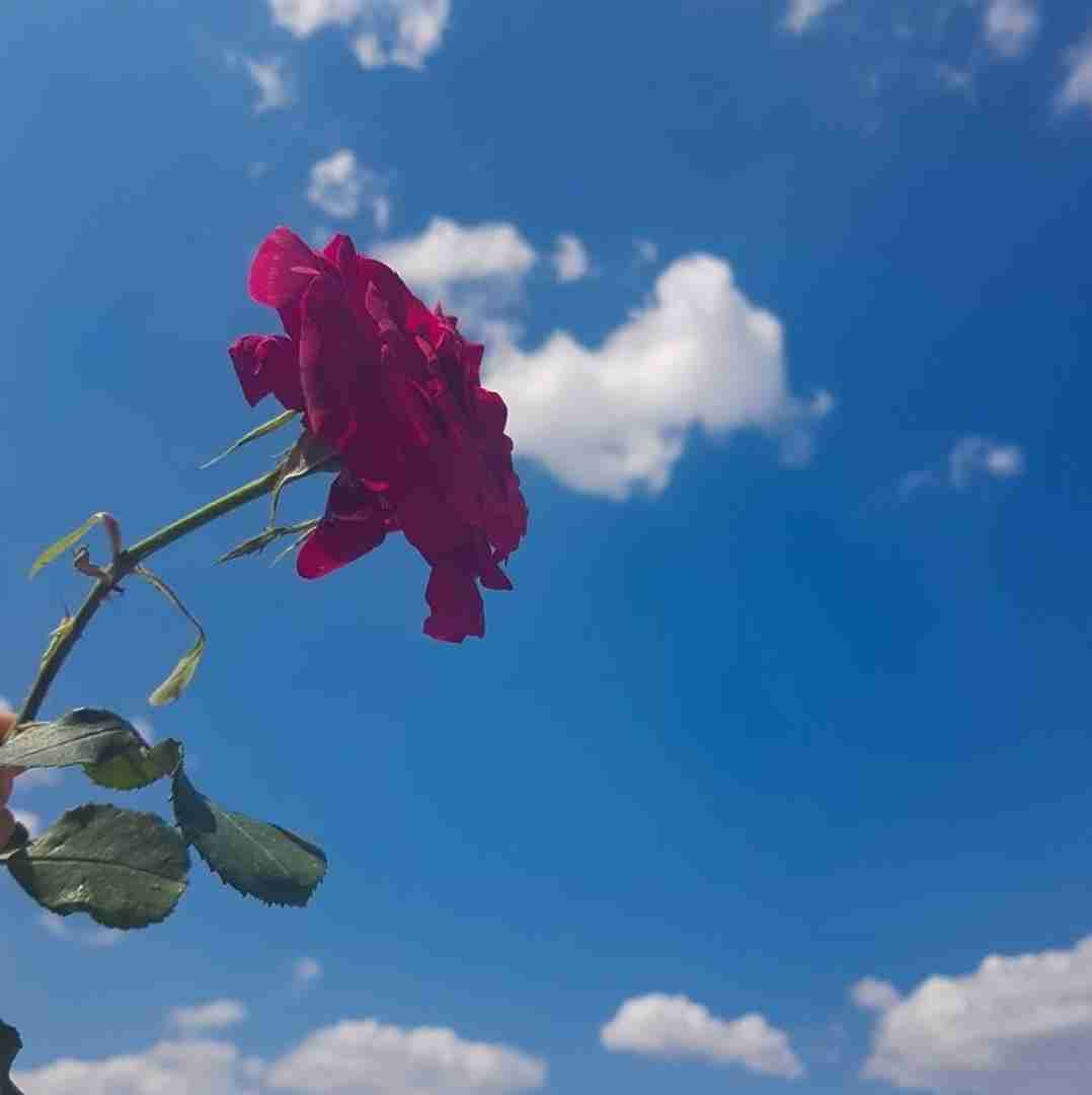  وقتی تو نیستی قلبمو واسه کی تکرار بکنم