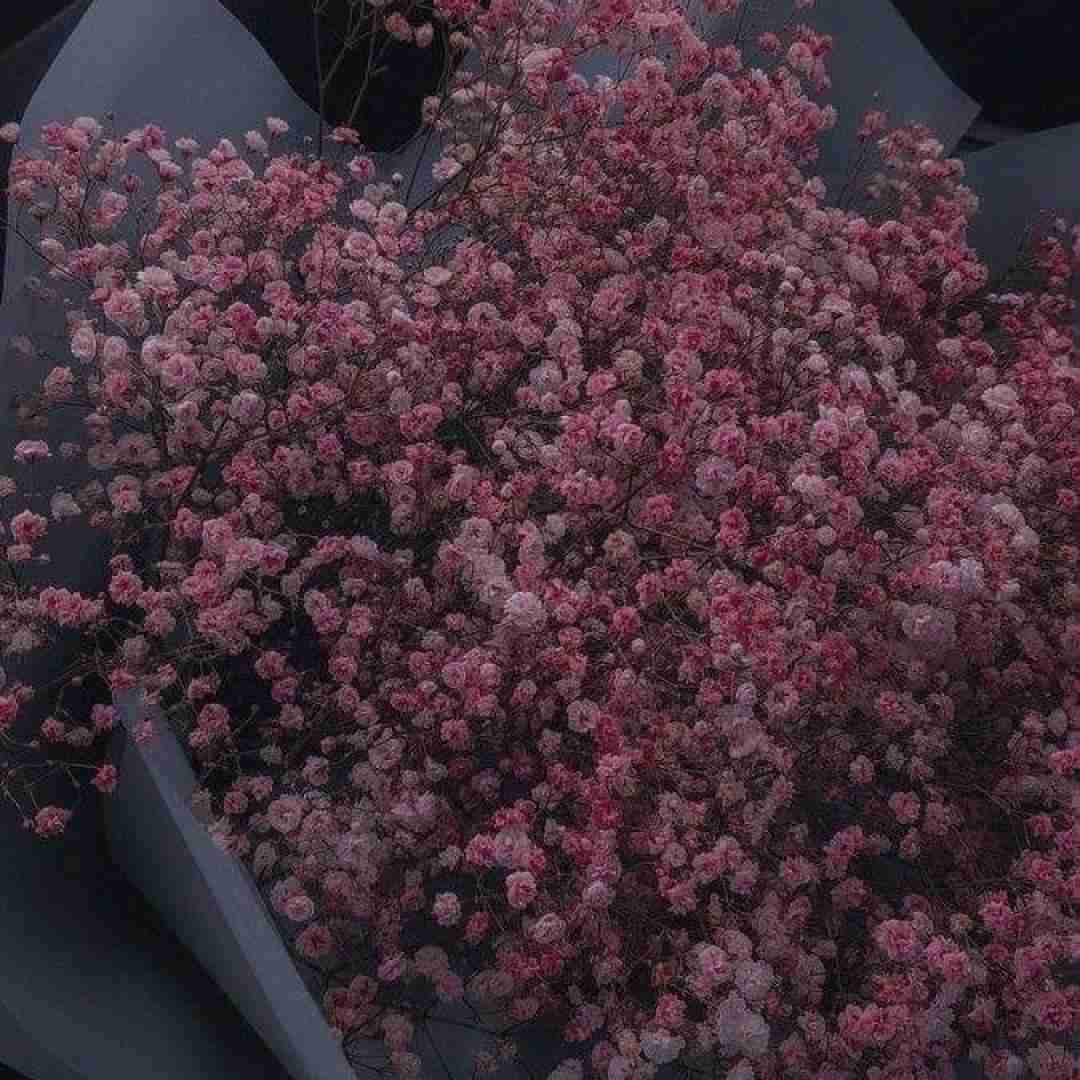  داره کم کم یادم میره فیس تو دیگه دعوا نمیکنم